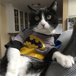 Meet your Posher, Eric